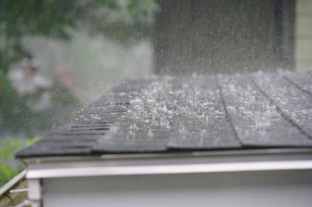 Best Flat Roofing  in Senatobia, MS